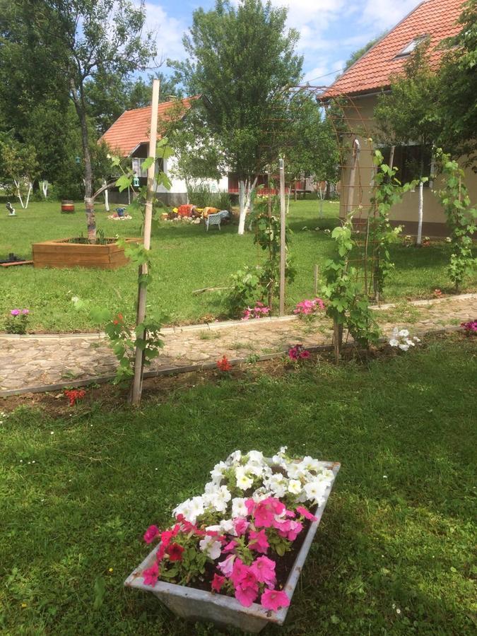Apartments Eco Forest Resort Rakovica Ngoại thất bức ảnh