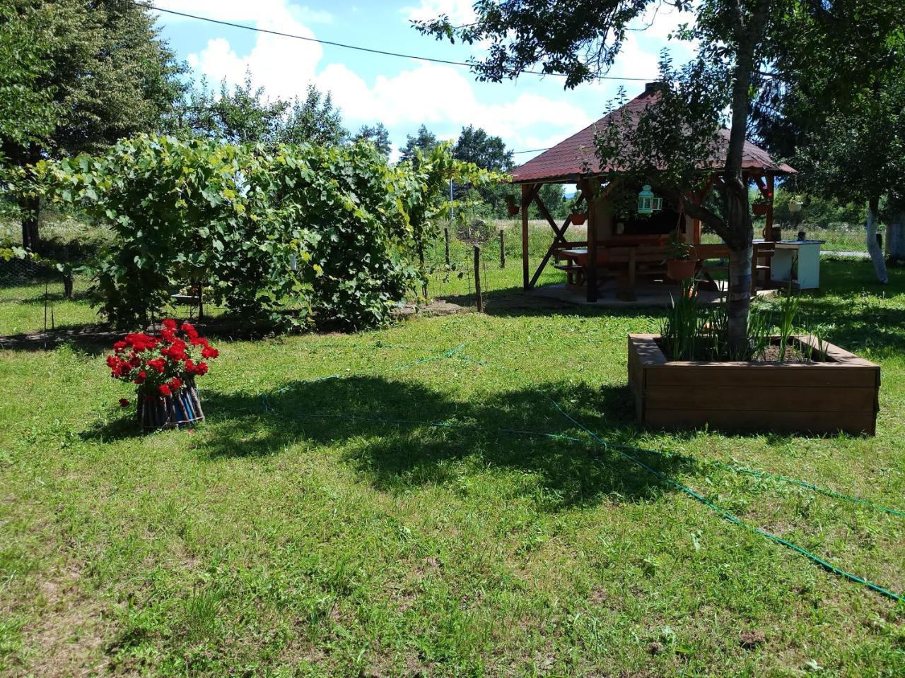Apartments Eco Forest Resort Rakovica Ngoại thất bức ảnh