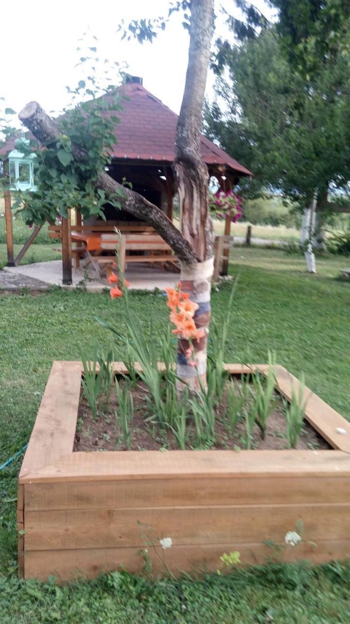 Apartments Eco Forest Resort Rakovica Ngoại thất bức ảnh