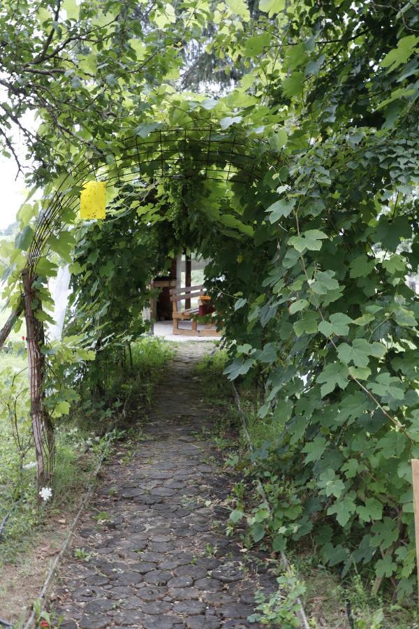 Apartments Eco Forest Resort Rakovica Ngoại thất bức ảnh